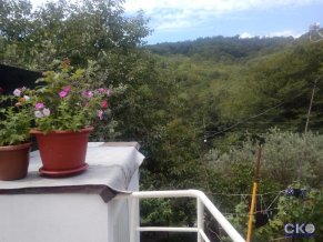 Гусь хрустальный Гостевой дом