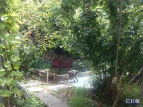 Гусь хрустальный Гостевой дом