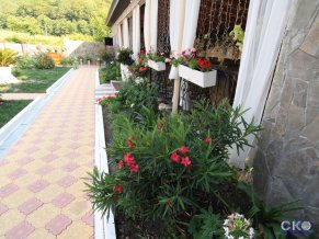 Белый Дом Гостевой дом