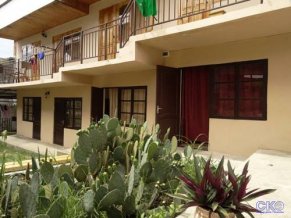 Кактус Гостевой дом