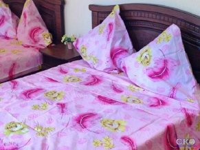 Алоиза Гостевой Дом