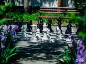 Творческая Волна Пансионат