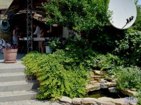 Усадьба Афалина Мини-гостиница