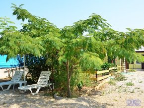 Бумеранг Гостевой дом