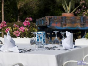 TUI Magic Life Waterworld