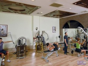 Delphin Diva Premiere