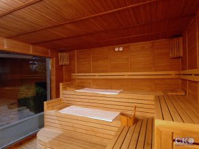 Delphin Diva Premiere