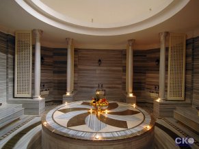 Delphin Diva Premiere