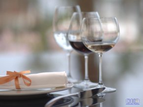 Delphin Diva Premiere