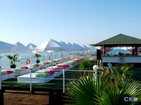 Delphin Diva Premiere