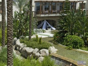 Delphin Diva Premiere