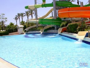 Delphin Diva Premiere