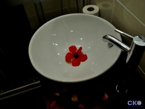 Concordia Celes Hotel