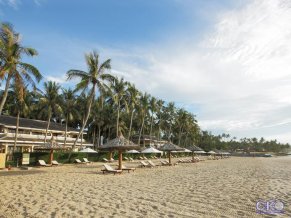 Amaryllis Resort and Spa