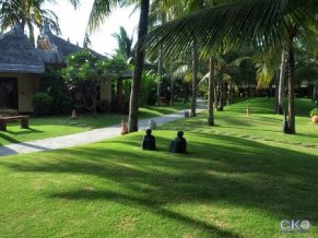 Terracotta Resort and Spa