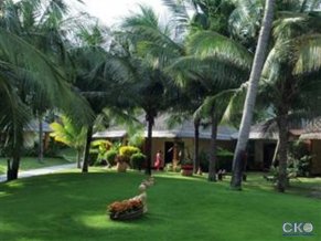 Terracotta Resort and Spa
