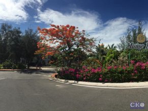 Muine Bay Resort