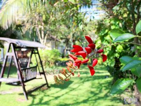 Champa Resort and Spa