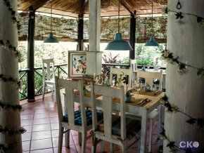 Green Organic Villas