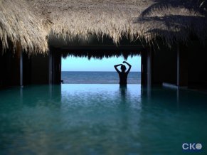 Green Organic Villas