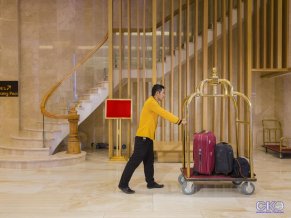 Dendro Gold Hotel 4*