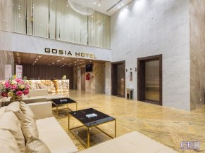 Gosia Hotel 3*