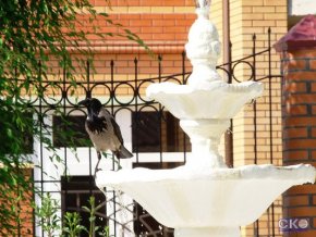 Феодосия пансионат