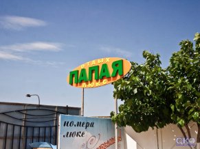 Папайя База Отдыха