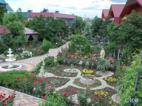 Папайя База Отдыха
