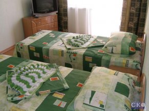 Пансион Ирина Мини-отель