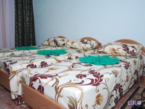 Пансион Ирина Мини-отель