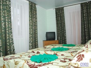 Пансион Ирина Мини-отель