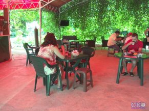 Золотая Чайка отель