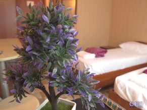 Золотая Чайка отель