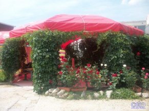 Золотая Чайка отель