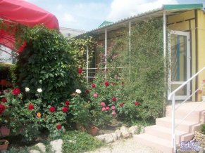 Золотая Чайка отель