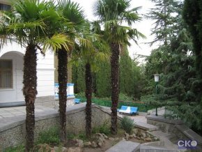 Профессорский уголок Пансионат