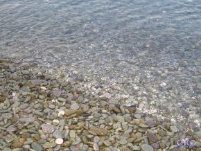 Профессорский уголок Пансионат