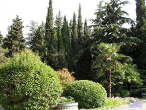 Полет Пансионат