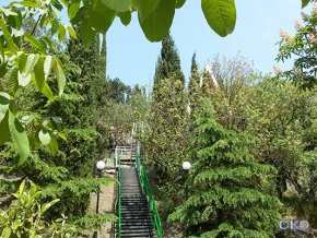 Алые паруса пансионат