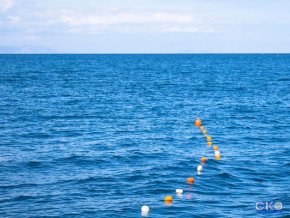 Вилла Алина Гостевой дом