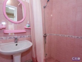 De Albina отель