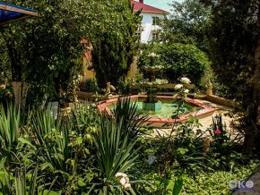 Ласточкино Гнездо пансионат