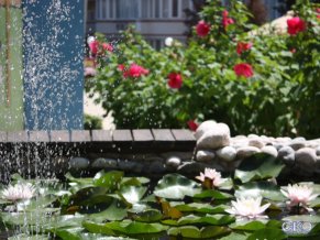 Монпансье Гостевой Дом