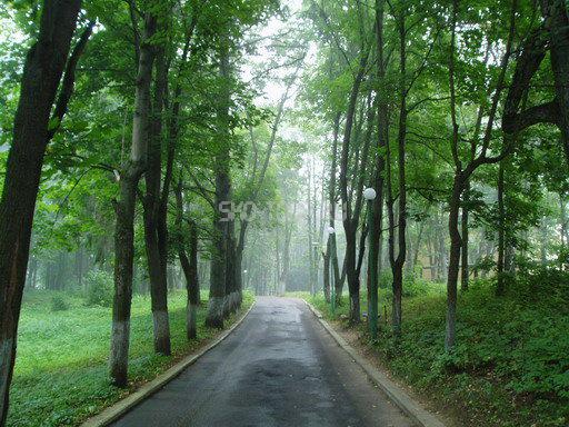 Территория