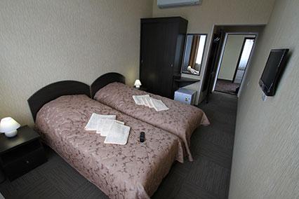 2-х местный 1-о комнатный номер Санаторий Каширские роднички