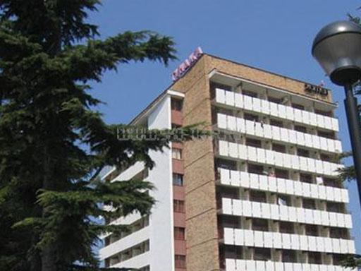 Отель Тунджа 2*