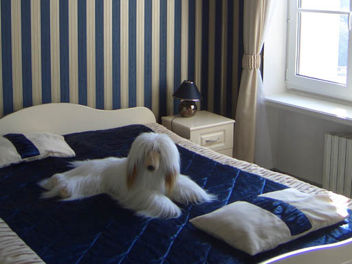 1-но местный улучшеный