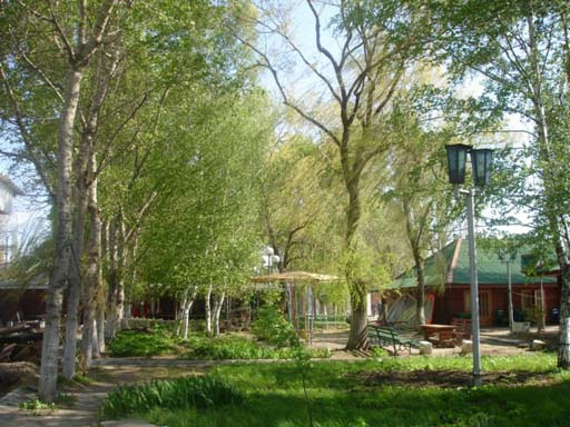 Внешний вид