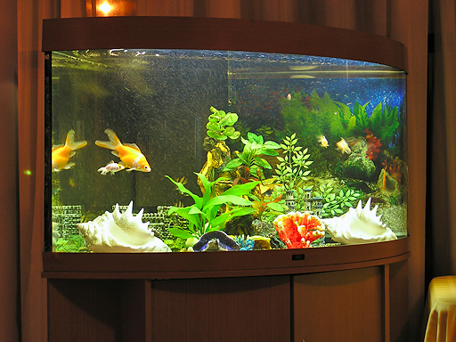 Гостиница «Приморская» Сочи